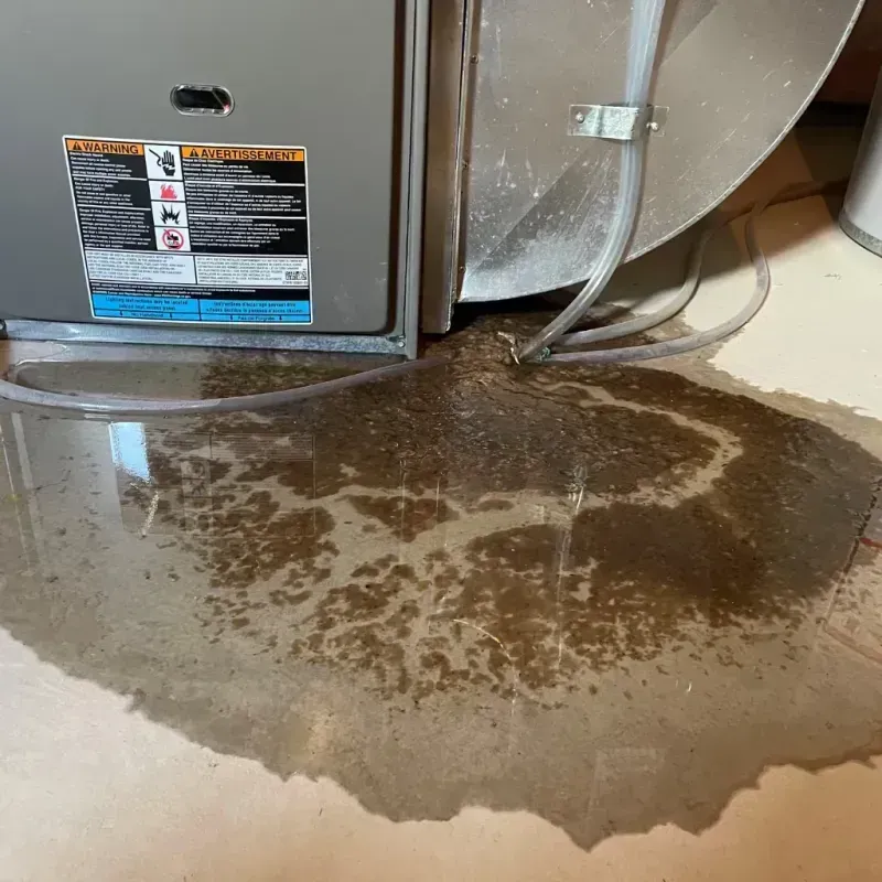 Appliance Leak Cleanup in Worcester County, MD